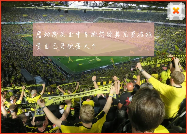詹姆斯反击申京抱怨称其无资格指责自己是软蛋大个