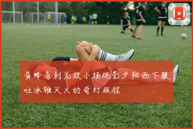 黄蜂毒刺无效小杨观影夕阳西下腹吐冰锥灭火的奇幻旅程